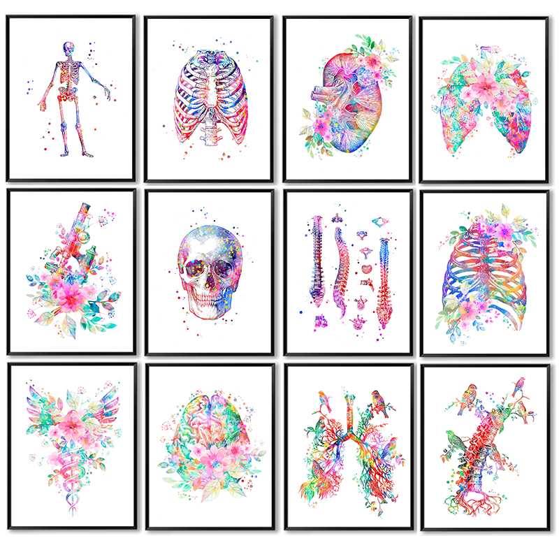 Medical Lab Pictures - Anatomiczny plakat medyczny, kwiatowy obraz na