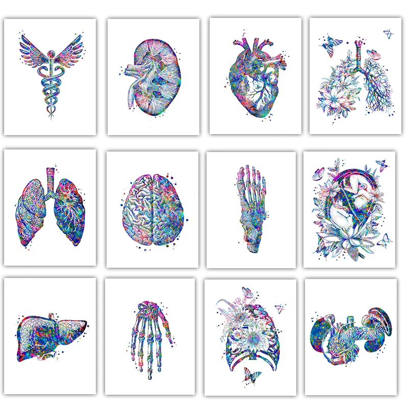Medical Lab Pictures - Anatomiczny plakat medyczny Kwiatowy organ Sztuka